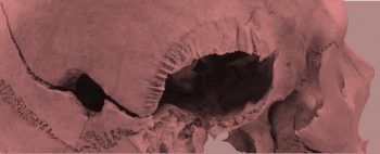 Vasiliki Louka Banner Image