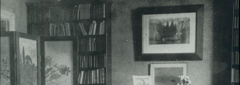 Elina Nahlinder Banner Image