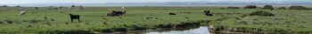 David Osborne Banner Image