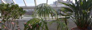 Eleanor Harris Banner Image