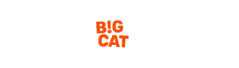 Big cat (marketing agency) banner image