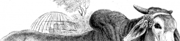 Matthew Carter Banner Image