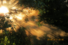 Elizabeth Smith Banner Image