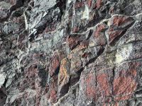 Hannah Curry Banner Image