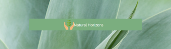 Natural horizons – conference registration banner image