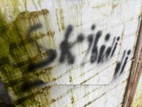 Non-radicalising “resilience creators”: youth masculinities banner image