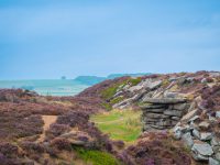 Ruth Walbank Banner Image