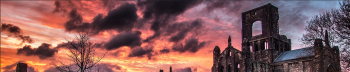 Gheorghe Williams Banner Image