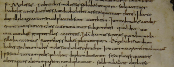 Jutta Lamminaho Banner Image