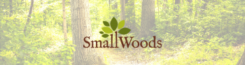 Small woods banner image