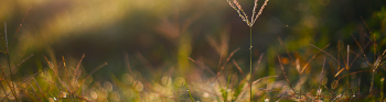 The foundling museum banner image