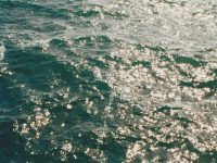 Exodus Crooks Banner Image