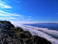 Laura Woolley-nunez Banner Image