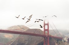 Samantha Ford Banner Image