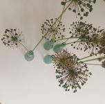 Andrea Hadley-johnson Banner Image