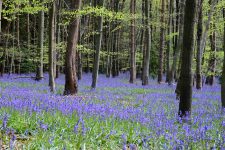 Bryony Taylor Banner Image