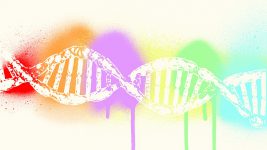 Jayde Martin Banner Image