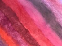 Eloisa Rodrigues Banner Image