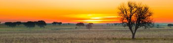 Peter Haysom Banner Image