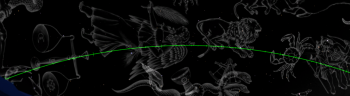 Amy Arden Banner Image